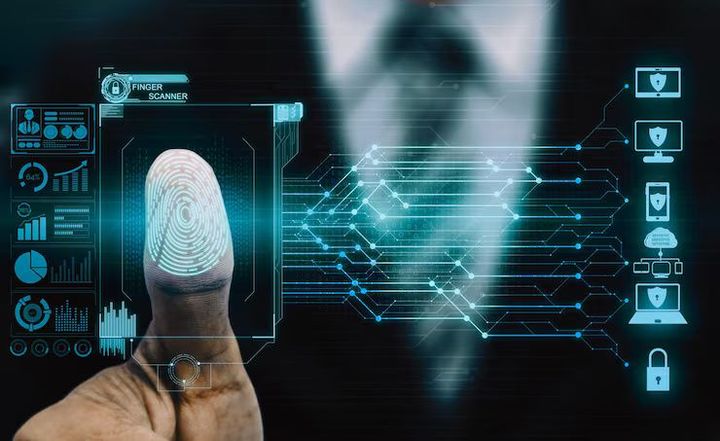 Biometric System Insights: Explanation of Security Features