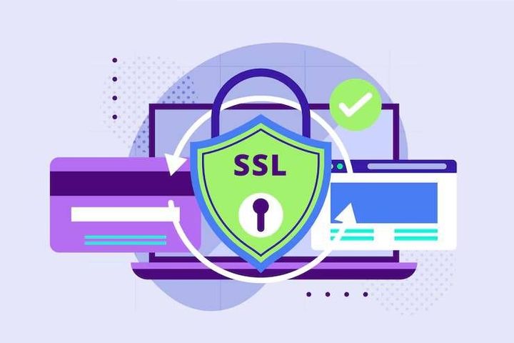 Wildcard SSL Complete Guide to Certificate Types, Coverage, and Website Authentication