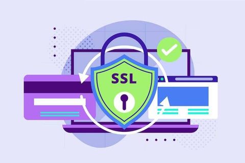 Wildcard SSL Complete Guide to Certificate Types, Coverage, and Website Authentication