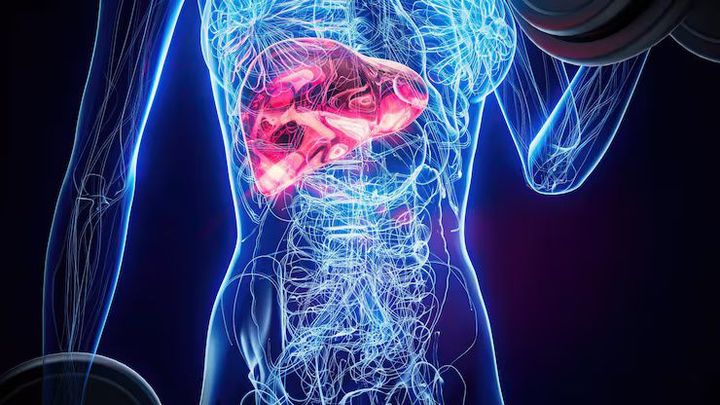 Explore Fatty Liver Disease Resources: Complete Health Information